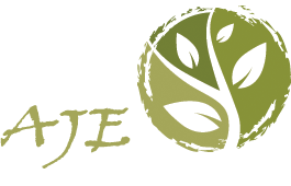 AJE Systems (UK) Ltd Logo